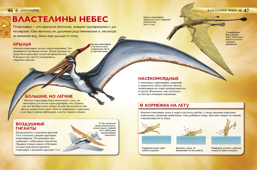 Летающие динозавры презентация